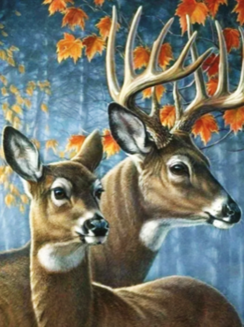 Diamond painting, peinture diamant – Balises \, image size:816x1091